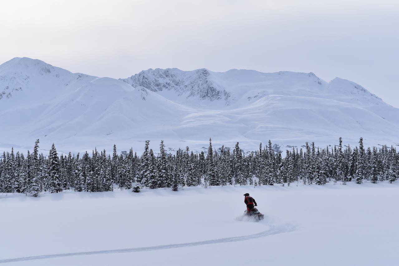 Backwoods Lodge Cantwell Kültér fotó