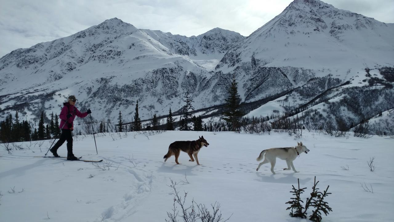 Backwoods Lodge Cantwell Kültér fotó